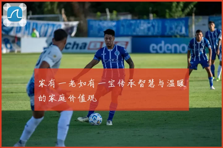 家有一老如有一宝传承智慧与温暖的家庭价值观